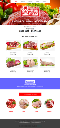 diseno web para empresa productos carnicos uruguay.png